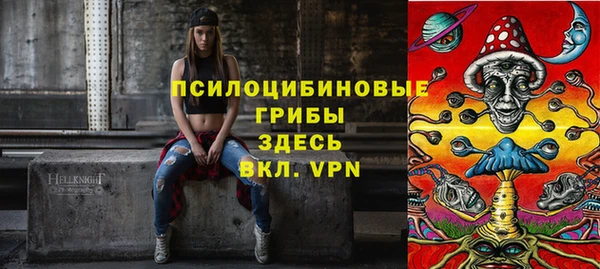 apvp Михайлов