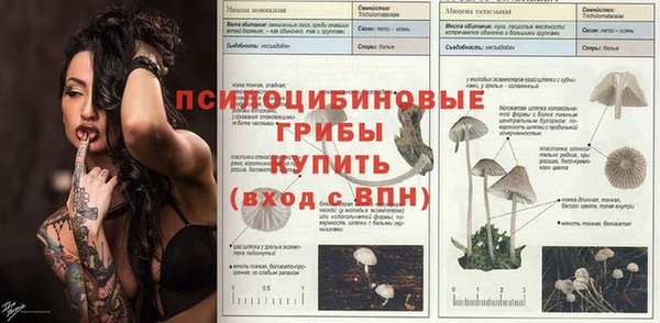 apvp Михайлов