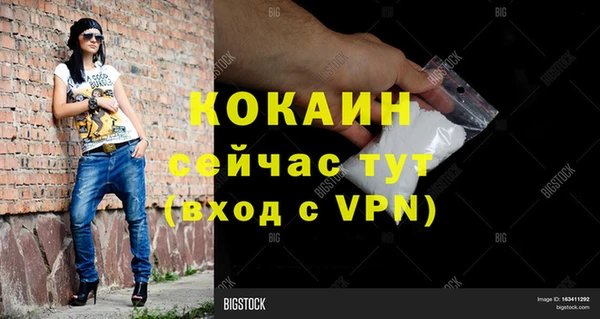 apvp Михайлов