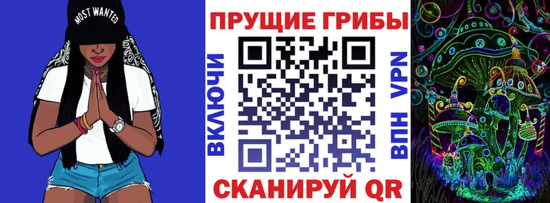 мега tor Ленинградская Галлюциногенные грибы мухоморы